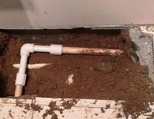 岳麓测漏水哪家好