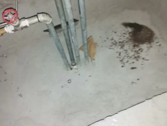 岳麓卫生间测漏水价格明细