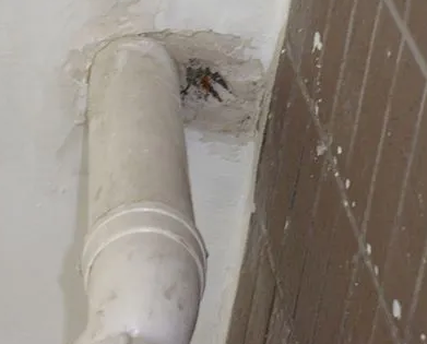 岳麓漏水检测哪家好